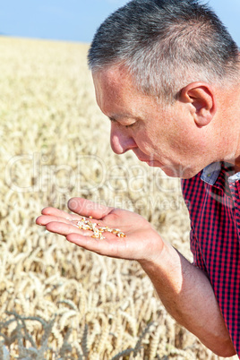 Farmer controls his wheat field
