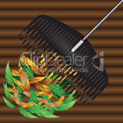 Rakes and fallen leaves