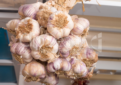 garlic