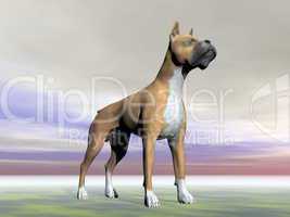 German boxer dog - 3D render