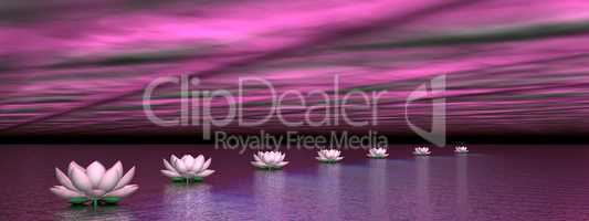 Water lilies steps to the sun - 3D render