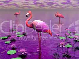 Flamingos and water lilies - 3D render