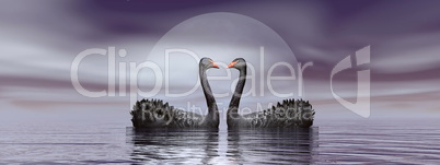 Black swans love - 3D render