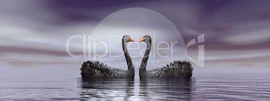 Black swans love - 3D render