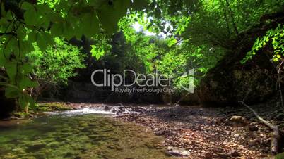 Forest River. HDR Time Lapse Shot Motorized Slider