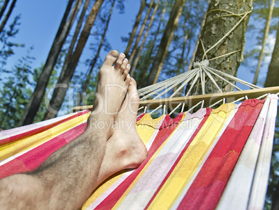 feet in the hammock on a background of pine forest