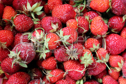 set of a ripe strawberry