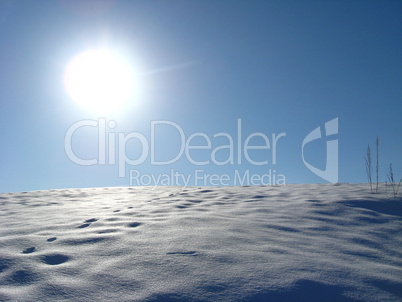 winter solar landscape