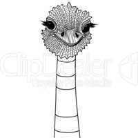 Ostrich bird head as symbol for mascot or emblem design, logo vector illustration for t-shirt.