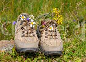 Wanderung in der Natur