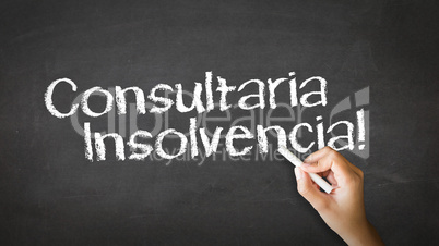 Bankruptcy Consulting (In Spanish)