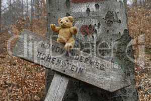Schild mit Teddy, Rundwanderweg Hohenstein, Weserbergland