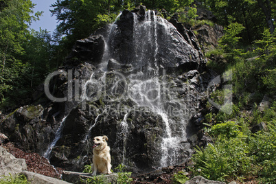 Radau-Wasserfall, Bad Harzburg