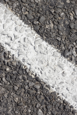 asphalt pavement with white marking strip