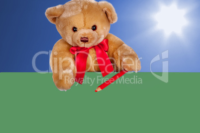 Teddy Bear on the blank sign