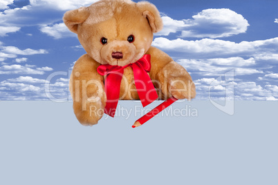 Teddy Bear on the blank sign