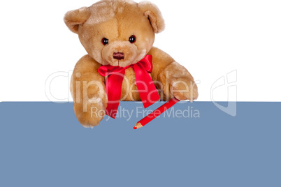 Teddy Bear on the blank sign