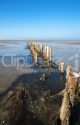 wooden breakwater