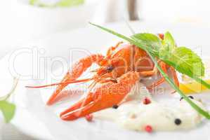 Red lobster on a white plate