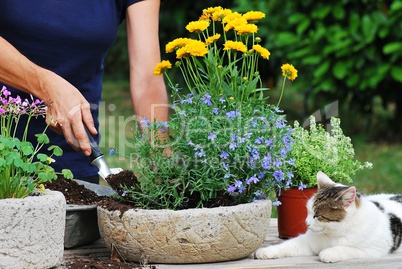 Flower planting