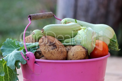 Bucket with vegetables