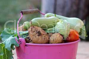 Bucket with vegetables