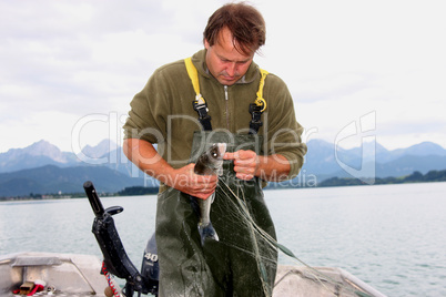 Berufsfischer bei der Arbeit
