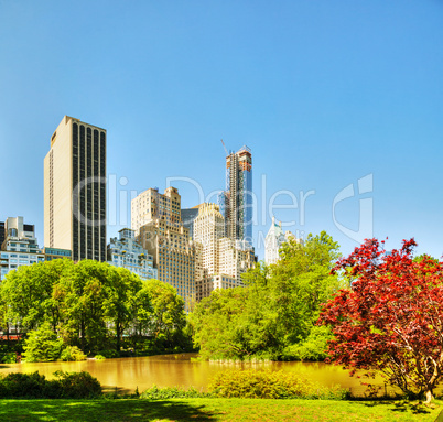 new york city cityscape on a sunny day