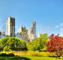 new york city cityscape on a sunny day
