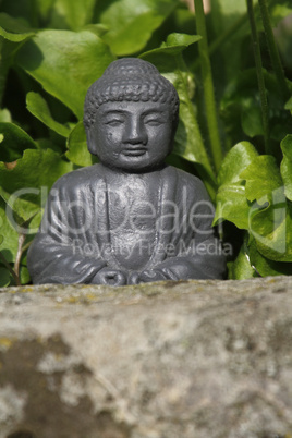 Buddha