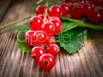 rot johannisbeeren