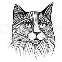 Vector illustration of cat head