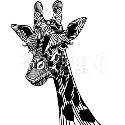 Giraffe head vector animal illustration for t-shirt. Sketch tattoo design.