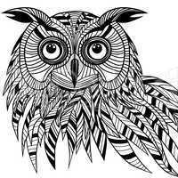 Owl bird head as halloween symbol for mascot or emblem design, s