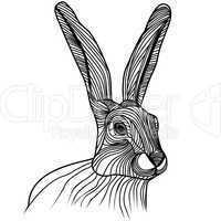 Rabbit or hare head vector illustration