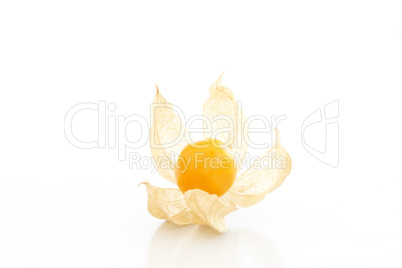 Cape gooseberry (physalis)