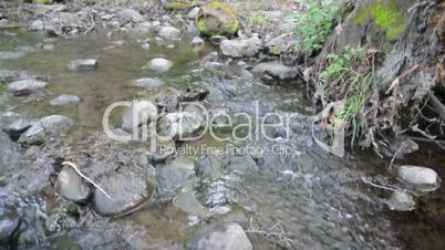 A small waterfall breaks the quiet of a slow moving stream