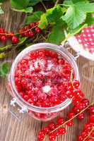 sugared red currant