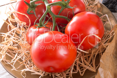 the tomato (solanum lycopersicum)