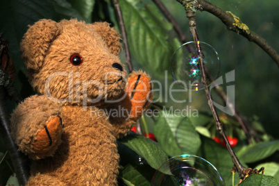 Teddybär mit Seifenblase