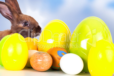 Rabbit with Easter eggs