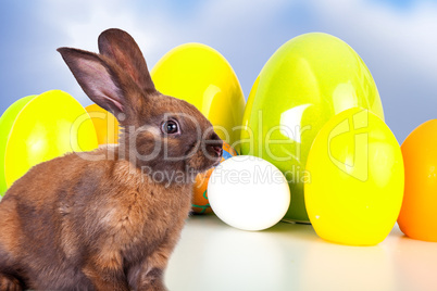 Rabbit with Easter eggs