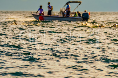 swimming competition on lake