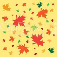 Autumn background from leaves