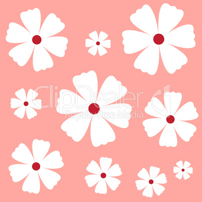 Flowers on a pink background