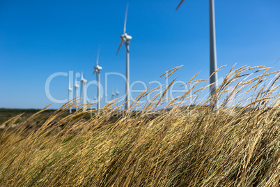 wind turbine 12