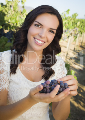 Young Adult Woman Enjoying The Wine Grapes in The Vineyard