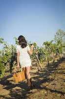 Young Woman Enjoying A Walk and Wine in Vineyard