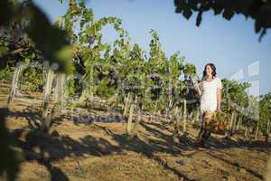 Young Woman Enjoying A Walk and Wine in Vineyard