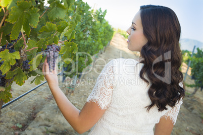 Young Adult Woman Enjoying The Wine Grapes in The Vineyard